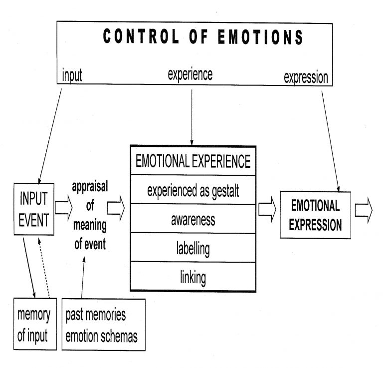 ep-autism-emotional-processing